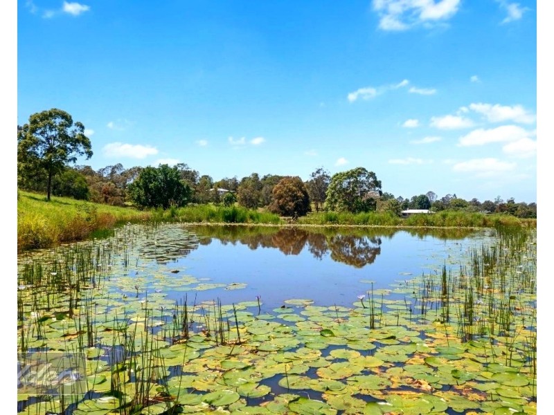6A Wacal Road, Mothar Mountain QLD 4570