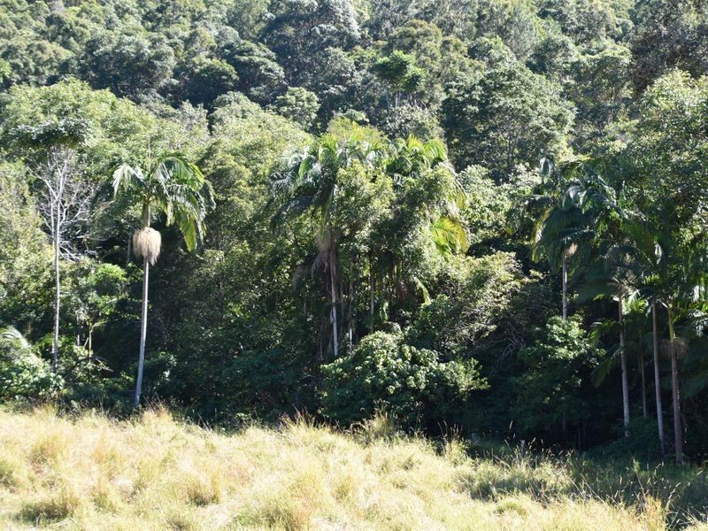 3293 Old Gympie Road, Landsborough QLD 4550