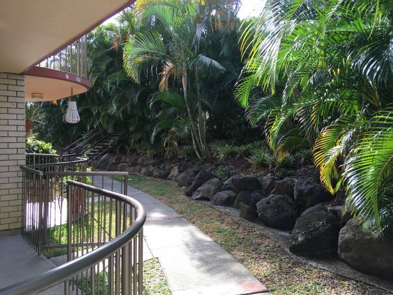 Mooloolaba QLD 4557