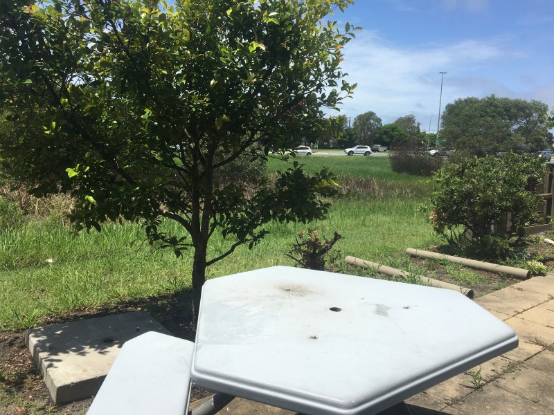5/41 Premier Circuit, Warana QLD 4575