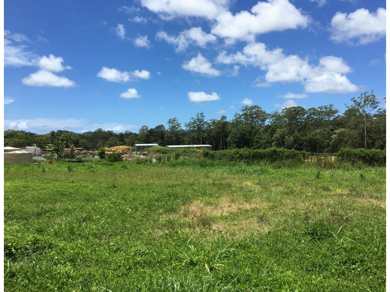 4 Sandalwood Lane, Forest Glen QLD 4556