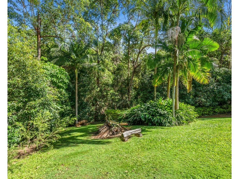 229 Diamond Valley Road, Diamond Valley QLD 4553