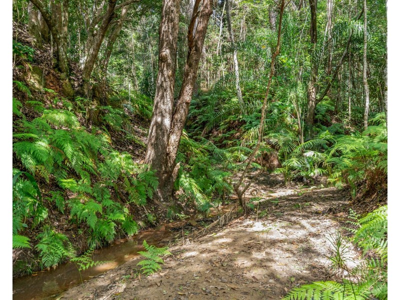 229 Diamond Valley Road, Diamond Valley QLD 4553