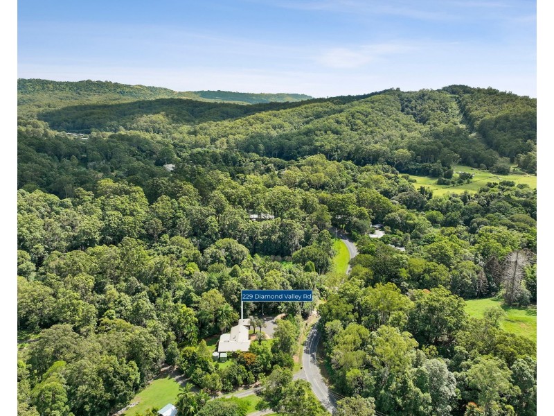 229 Diamond Valley Road, Diamond Valley QLD 4553