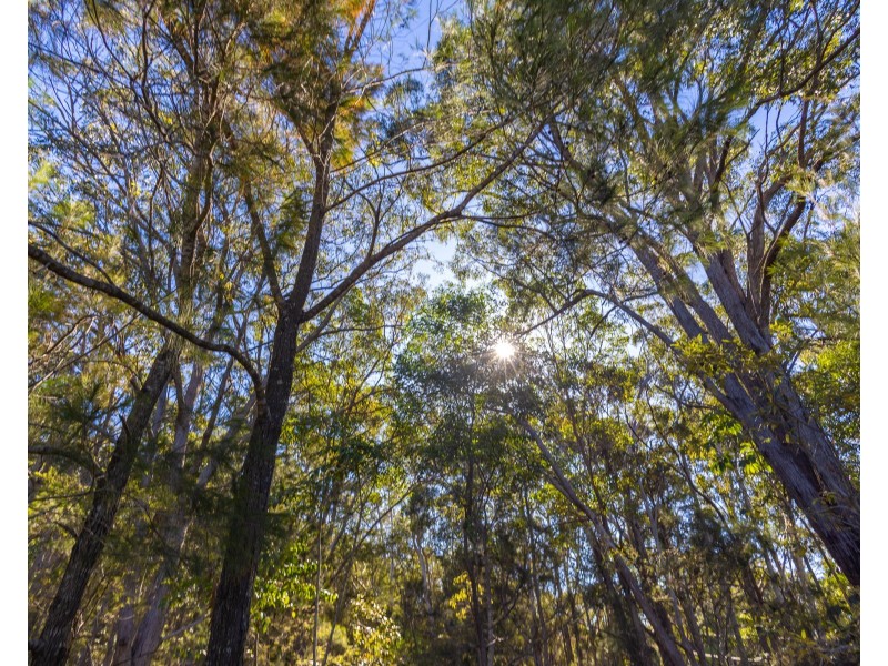 1 Old Kiel Mountain Road, Kiels Mountain QLD 4559