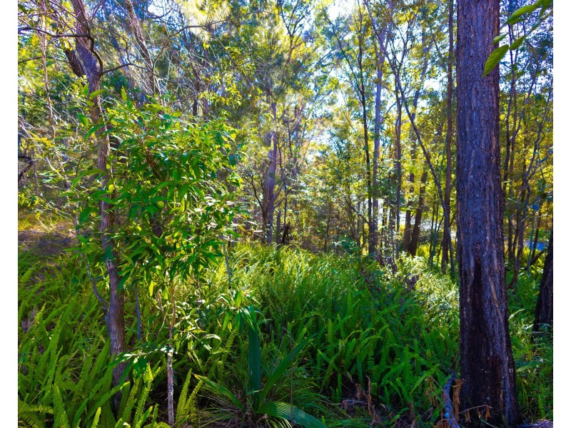 1 Old Kiel Mountain Road, Kiels Mountain QLD 4559
