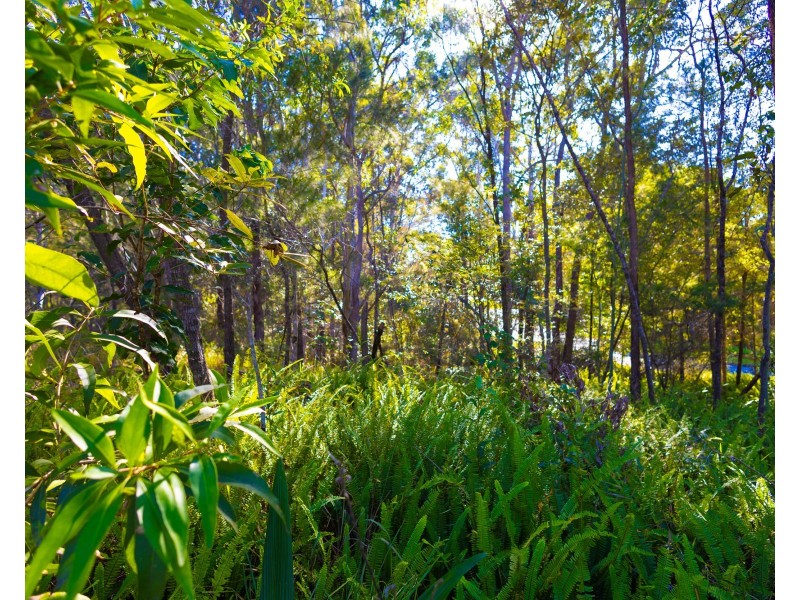 1 Old Kiel Mountain Road, Kiels Mountain QLD 4559