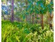 1 Old Kiel Mountain Road, Kiels Mountain QLD 4559