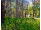 1 Old Kiel Mountain Road, Kiels Mountain QLD 4559
