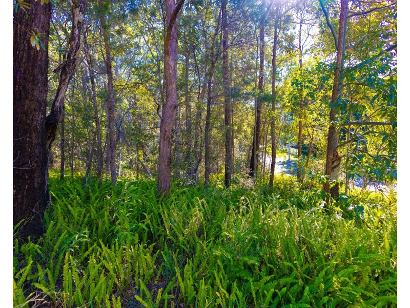 1 Old Kiel Mountain Road, Kiels Mountain QLD 4559