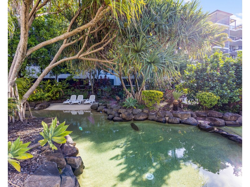 538/19B Wirraway Street, Alexandra Headland QLD 4572