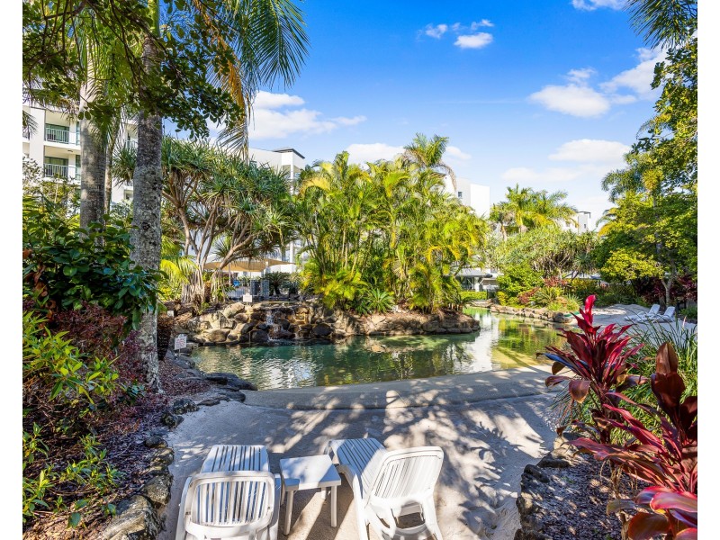 538/19B Wirraway Street, Alexandra Headland QLD 4572