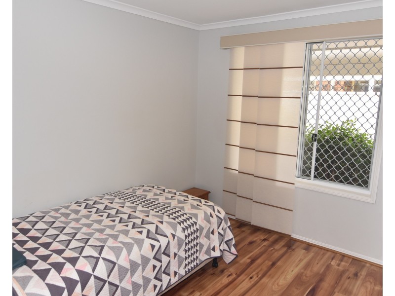 3 Silveroak Court, Mountain Creek QLD 4557