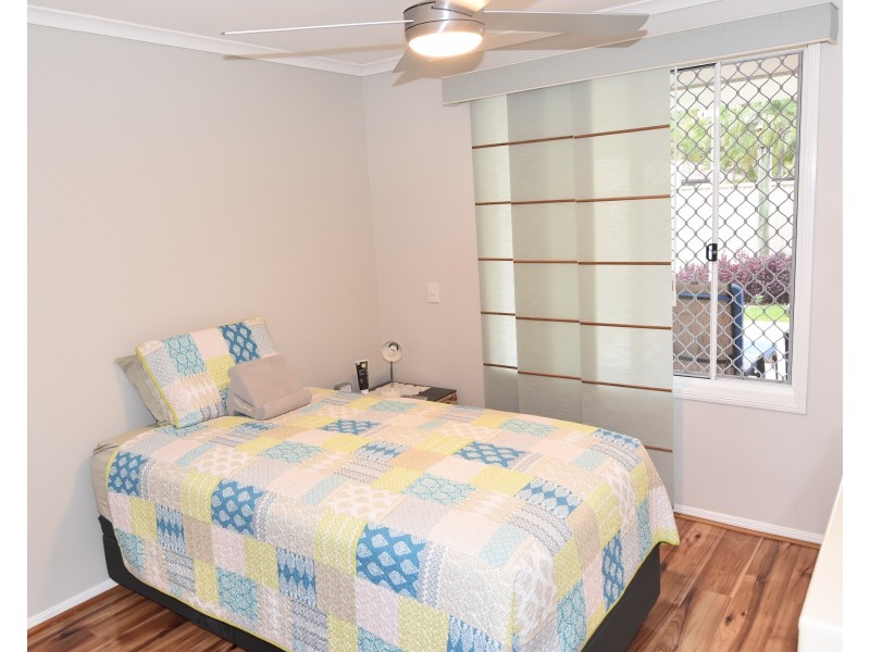 3 Silveroak Court, Mountain Creek QLD 4557