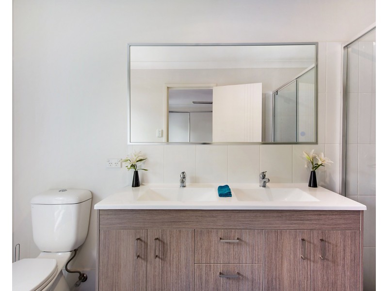 29 Spoonbill Drive, Forest Glen QLD 4556