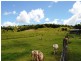 Plainland QLD 4341