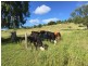 Plainland QLD 4341