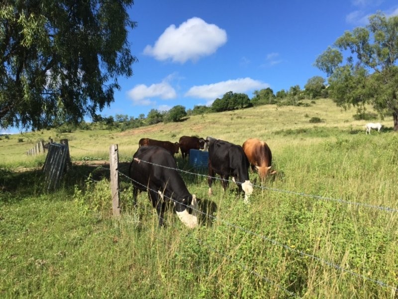 Plainland QLD 4341