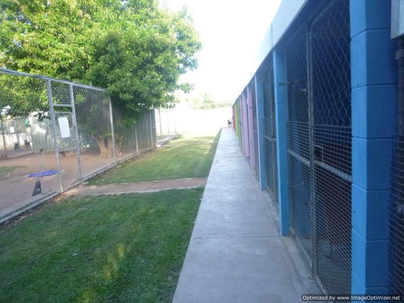Alligator Creek QLD 4816