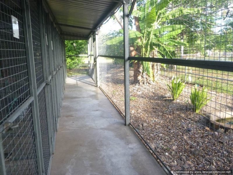 Alligator Creek QLD 4816