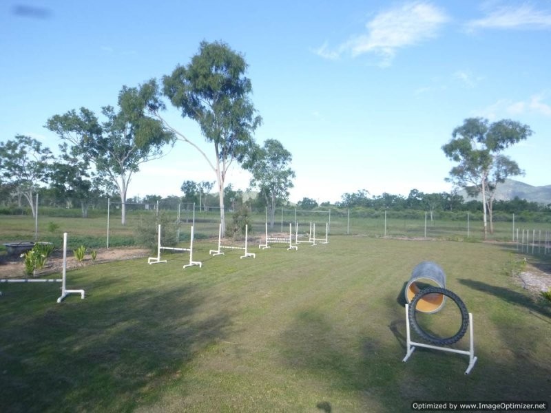 Alligator Creek QLD 4816