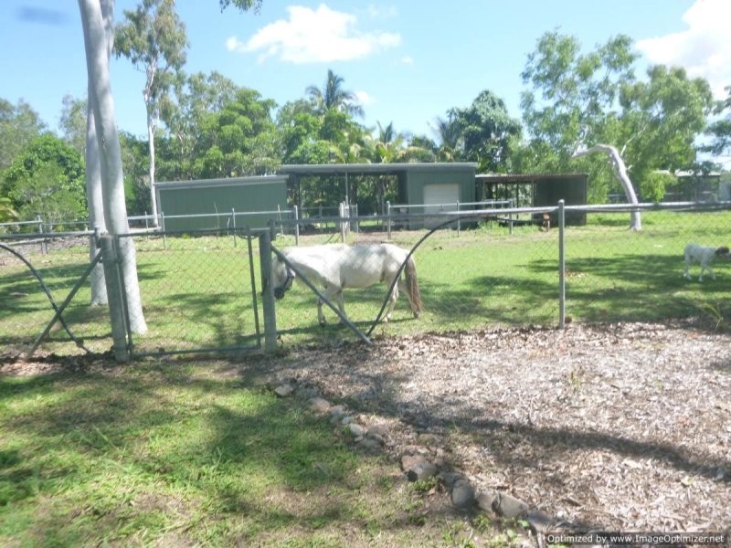 Alligator Creek QLD 4816