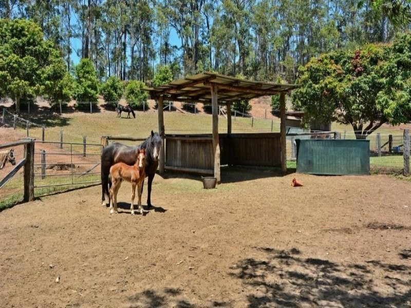 86 Wooleys Rd, Glass House Mountains QLD 4518