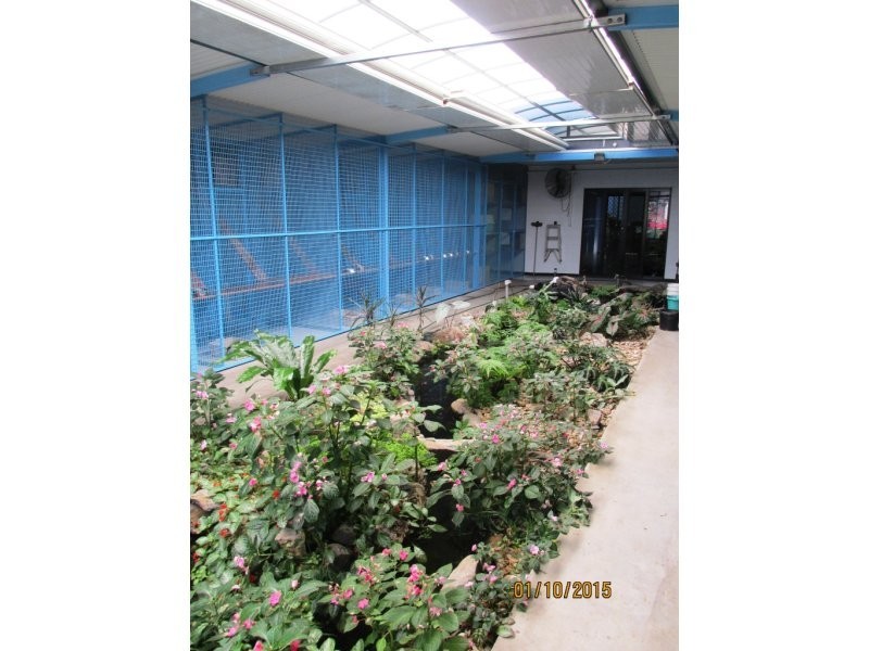 167 McCoombe Street, Bungalow QLD 4870