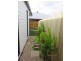 59 Springs Drive, Little Mountain QLD 4551