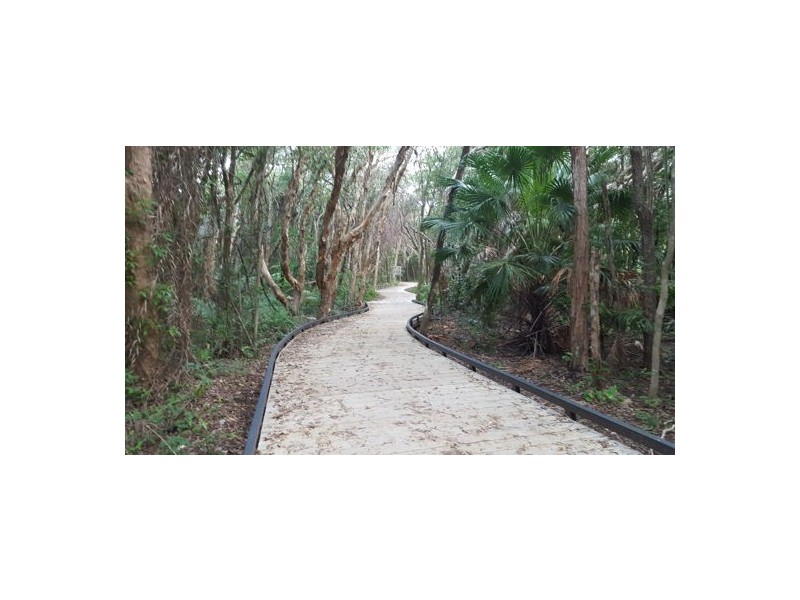 53 Swallow Street, Wurtulla QLD 4575