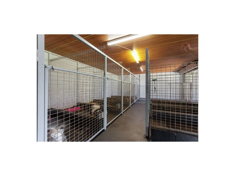 15 Sprott Road, Ellinthorp QLD 4362