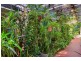 32 TINGIRA CLOSE, Rainbow Beach QLD 4581