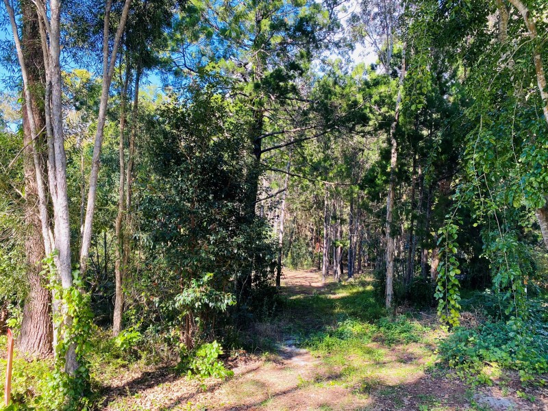 17 SATINWOOD ROAD, Rainbow Beach QLD 4581