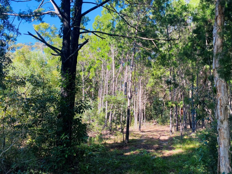 17 SATINWOOD ROAD, Rainbow Beach QLD 4581