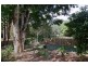 5 Palm Grove Court, Palmwoods QLD 4555