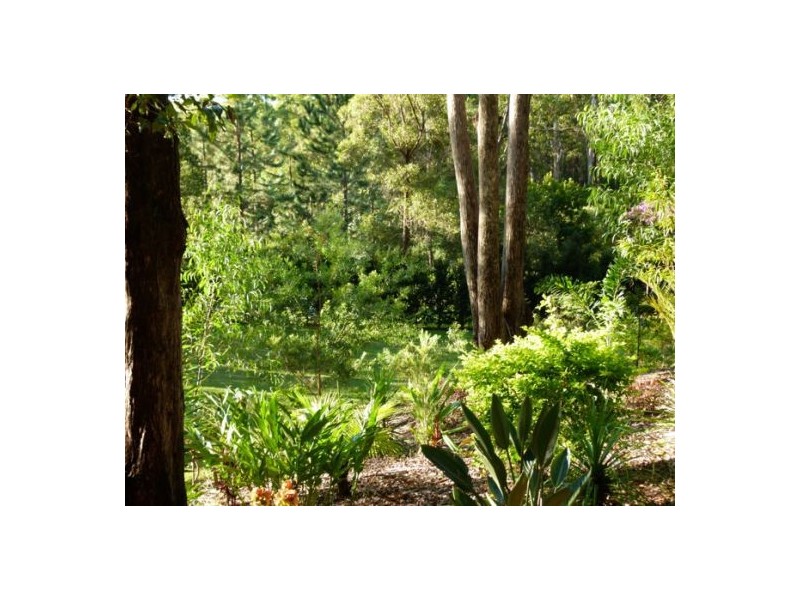 169 Wilson Rd, Ilkley QLD 4554