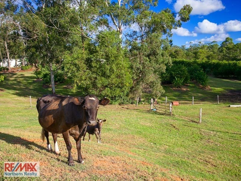 109 Commissioners Flat Road, Peachester QLD 4519
