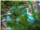 405/75 Esplanade, Golden Beach QLD 4551
