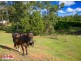 109 Commissioners Flat Road, Peachester QLD 4519