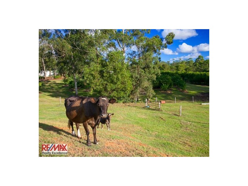 109 Commissioners Flat Road, Peachester QLD 4519