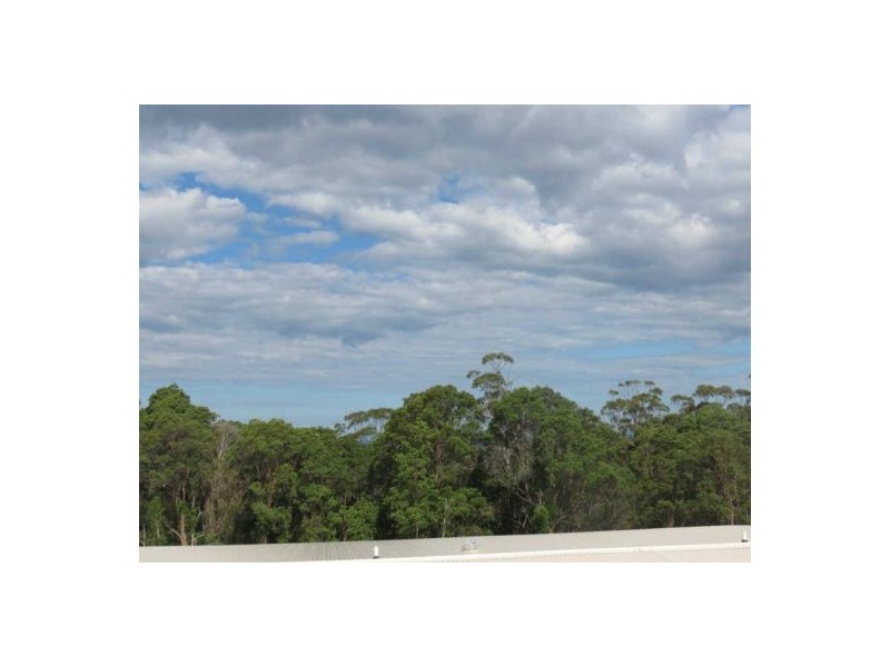 Buderim QLD 4556