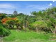 41A Ferguson Avenue, Buderim QLD 4556