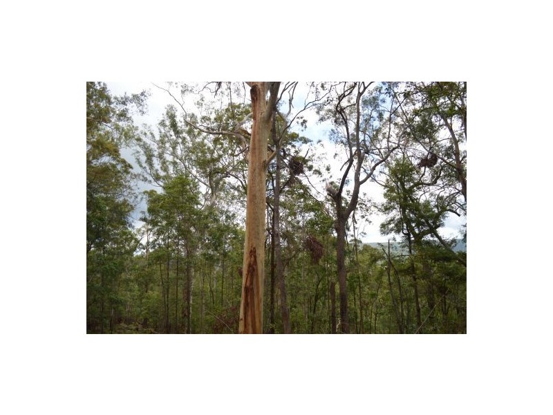 Lot 1, 39 Upper Hutton Road, Kiamba QLD 4560