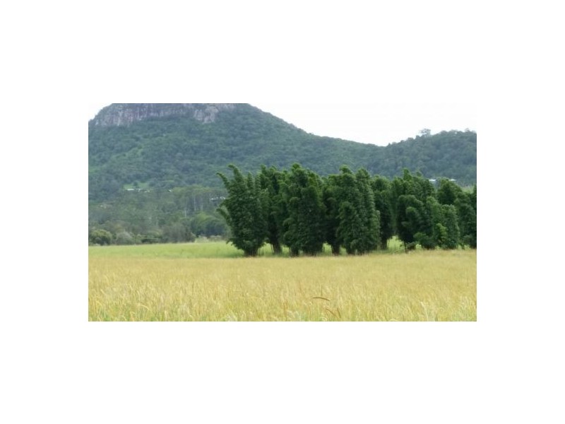 199 Yandina Bli Bli Rd, Maroochy River QLD 4561