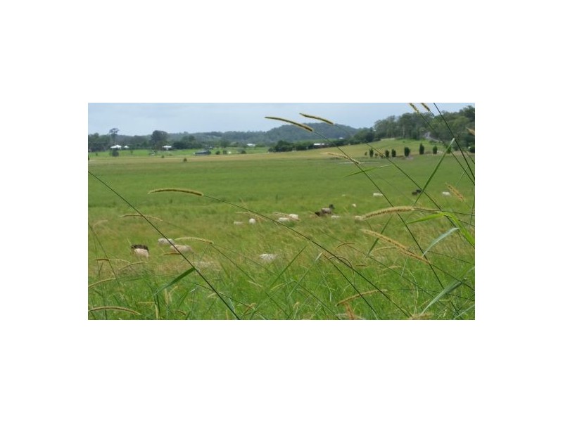 199 Yandina Bli Bli Rd, Maroochy River QLD 4561