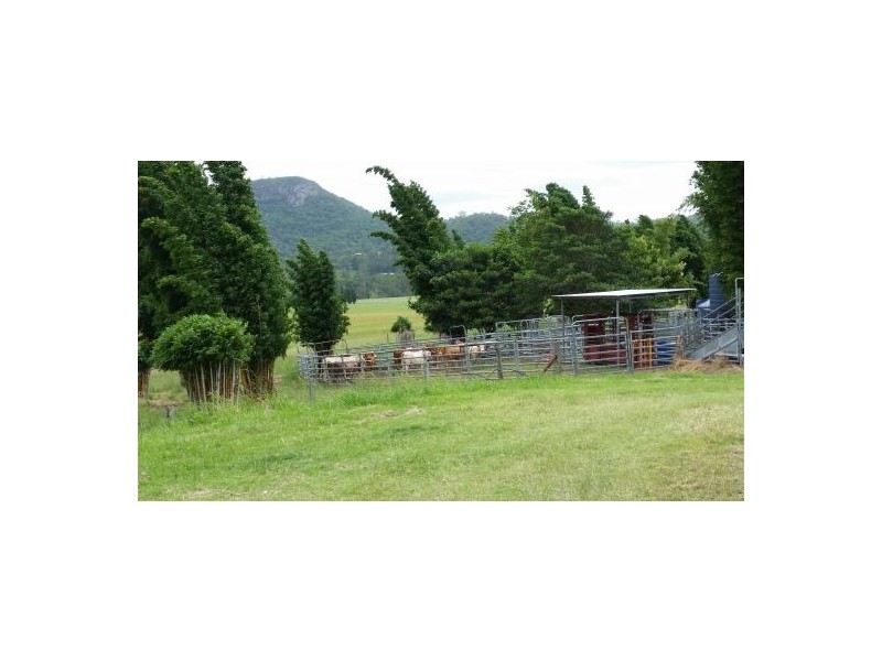 199 Yandina Bli Bli Rd, Maroochy River QLD 4561