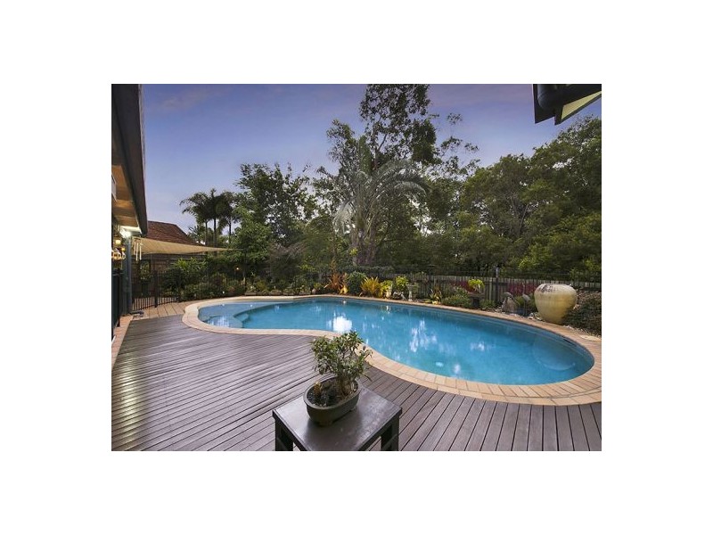 20 Rainbird Court, Palmwoods QLD 4555