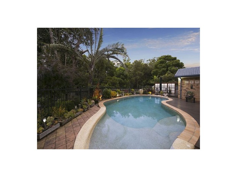 20 Rainbird Court, Palmwoods QLD 4555