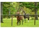 413 Seib Road, North Arm QLD 4561