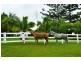 413 Seib Road, North Arm QLD 4561